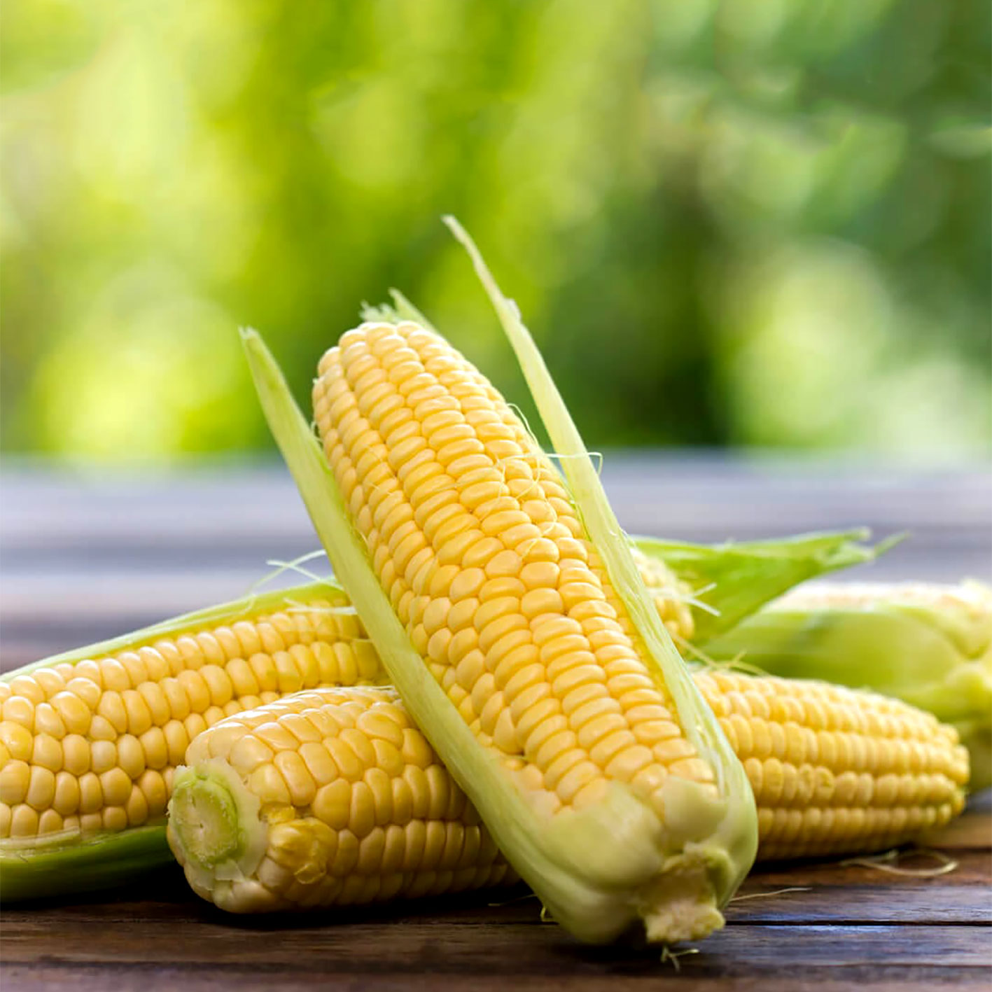 Corn me. Corn кукуруза. Зубовидная кукуруза. Кукуруза Sweet Corn. Кукуруза обыкновенная - Zea Mays l..